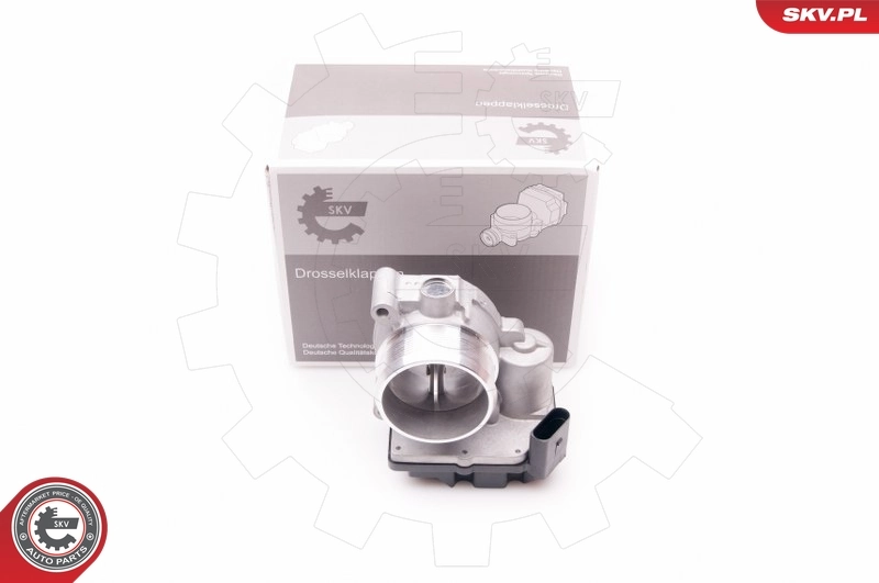 Throttle Body